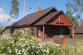 Wildflowers in bloom in front of a cabin at Colorado Cabin Adventures near Grand Lake, Colorado