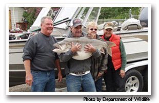 A fish caught in Blue Mesa Reservoir, Colorado, Photo by the Department of Wildlife