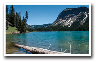 Lower Marvine Lake with a log on the coast