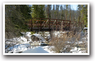 Snow covered bridge near Grand Lake, Colorado.