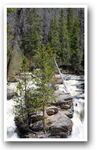 Waterfall near Grand Lake, Colorado