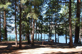 Picnic table nestled in the trees next to Vallecito Lake in Durango, Colorado