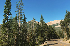 Church Park Road scenic drive, Colorado.