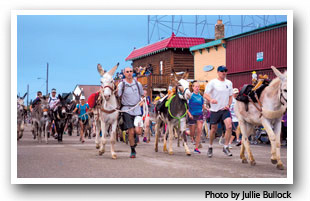 Annual Burro Days at Fairplay Colorado. Photo by Julie Bullock