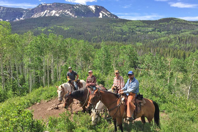 Horses lined up and ready to ride at Sable Mountain Outfitters in Meeker, Colorado