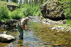 Man fishing in Rio Grande River close to South Fork Lodge, Cabins and RV Park in South Fork, Colorado