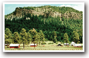 Farmland near Rico, Colorado